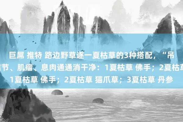 巨屌 推特 路边野草逐一夏枯草的3种搭配，“吊打”各类结节，能把结节、肌瘤、息肉通通消干净：1夏枯草 佛手；2夏枯草 猫爪草；3夏枯草 丹参