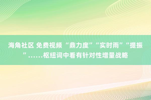 海角社区 免费视频 “鼎力度”“实时雨”“提振”……枢纽词中看有针对性增量战略