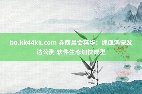 bo.kk44kk.com 券商晨会精华：纯血鸿蒙发达公测 软件生态加快成型