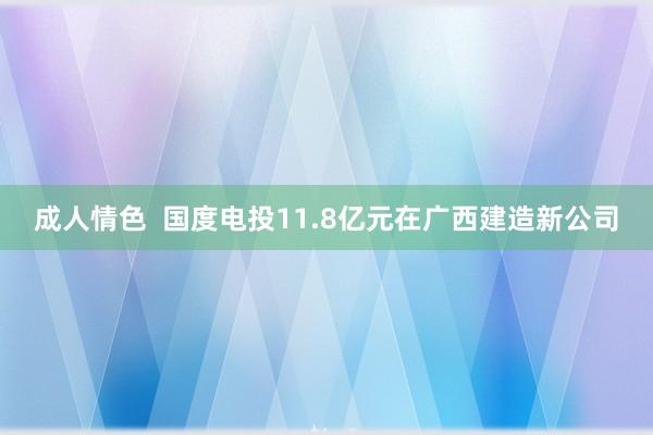 成人情色  国度电投11.8亿元在广西建造新公司