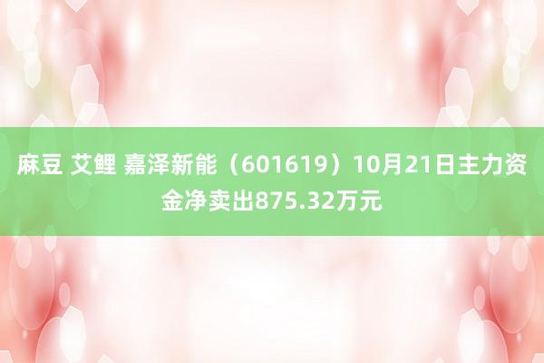 麻豆 艾鲤 嘉泽新能（601619）10月21日主力资金净卖出875.32万元