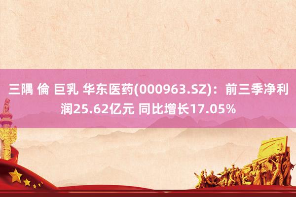 三隅 倫 巨乳 华东医药(000963.SZ)：前三季净利润25.62亿元 同比增长17.05%