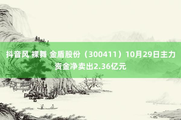 抖音风 裸舞 金盾股份（300411）10月29日主力资金净卖出2.36亿元