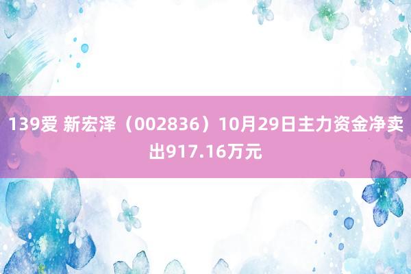 139爱 新宏泽（002836）10月29日主力资金净卖出917.16万元