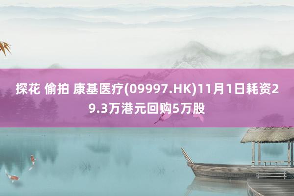 探花 偷拍 康基医疗(09997.HK)11月1日耗资29.3万港元回购5万股