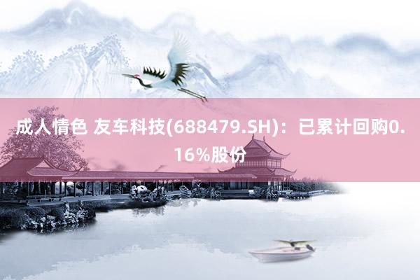 成人情色 友车科技(688479.SH)：已累计回购0.16%股份