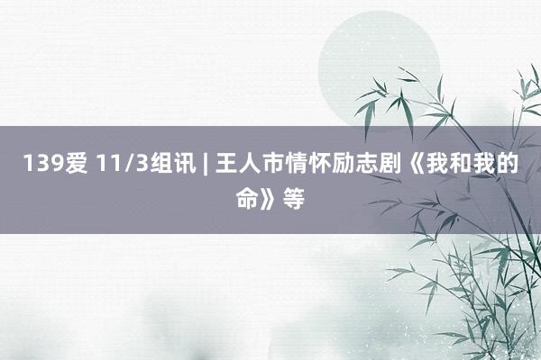 139爱 11/3组讯 | 王人市情怀励志剧《我和我的命》等