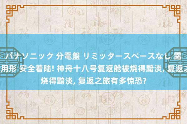 パナソニック 分電盤 リミッタースペースなし 露出・半埋込両用形 安全着陆! 神舟十八号复返舱被烧得黯淡， 复返之旅有多惊恐?