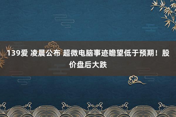 139爱 凌晨公布 超微电脑事迹瞻望低于预期！股价盘后大跌