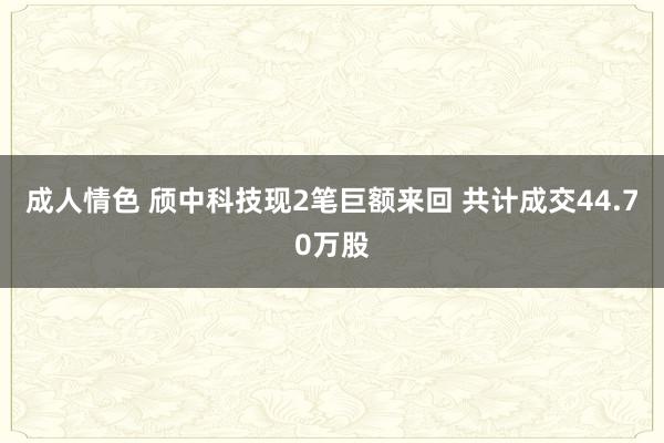 成人情色 颀中科技现2笔巨额来回 共计成交44.70万股