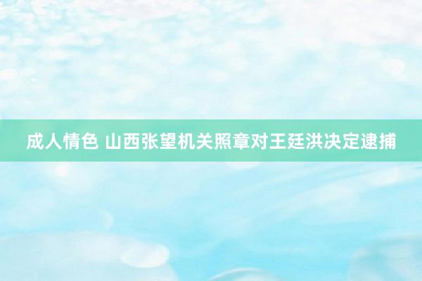 成人情色 山西张望机关照章对王廷洪决定逮捕