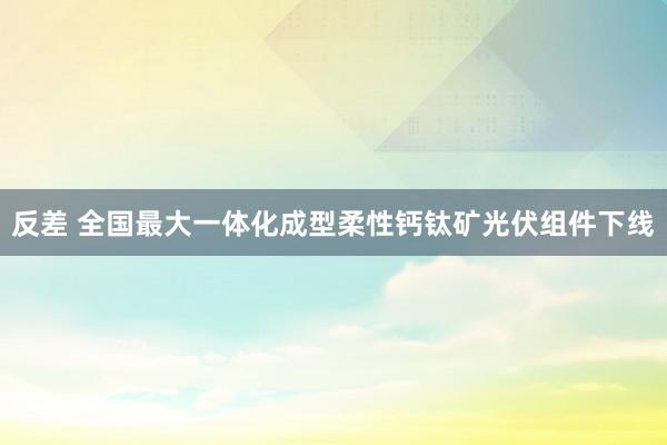 反差 全国最大一体化成型柔性钙钛矿光伏组件下线