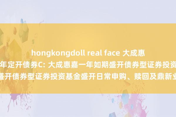 hongkongdoll real face 大成惠嘉一年定开债券A，大成惠嘉一年定开债券C: 大成惠嘉一年如期盛开债券型证券投资基金盛开日常申购、赎回及鼎新业务的公告