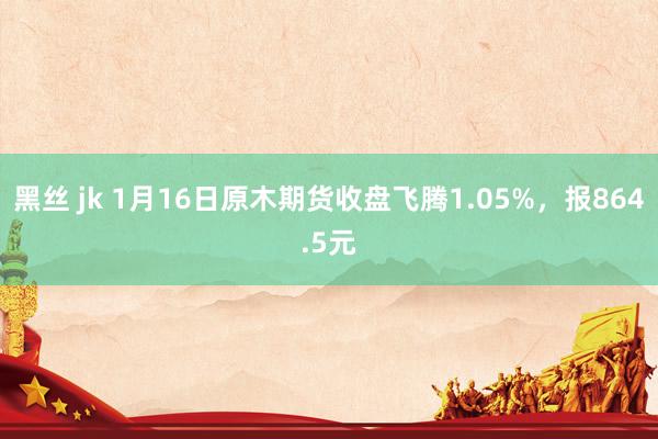 黑丝 jk 1月16日原木期货收盘飞腾1.05%，报864.5元