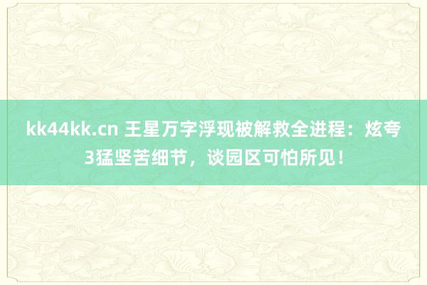 kk44kk.cn 王星万字浮现被解救全进程：炫夸3猛坚苦细节，谈园区可怕所见！